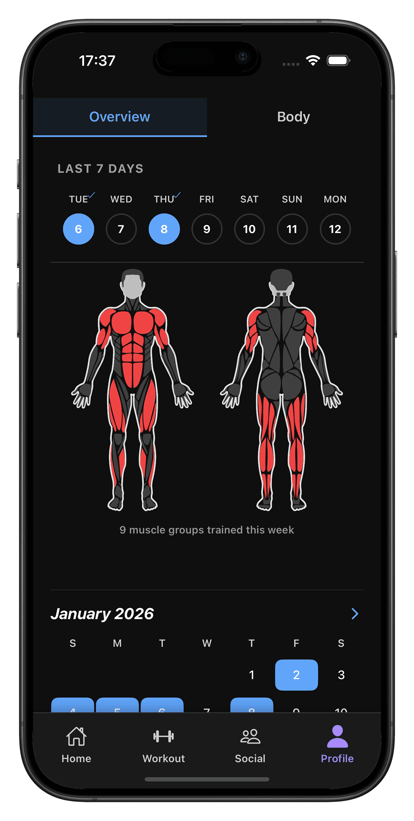 RepEight body heatmap showing muscle groups trained this week