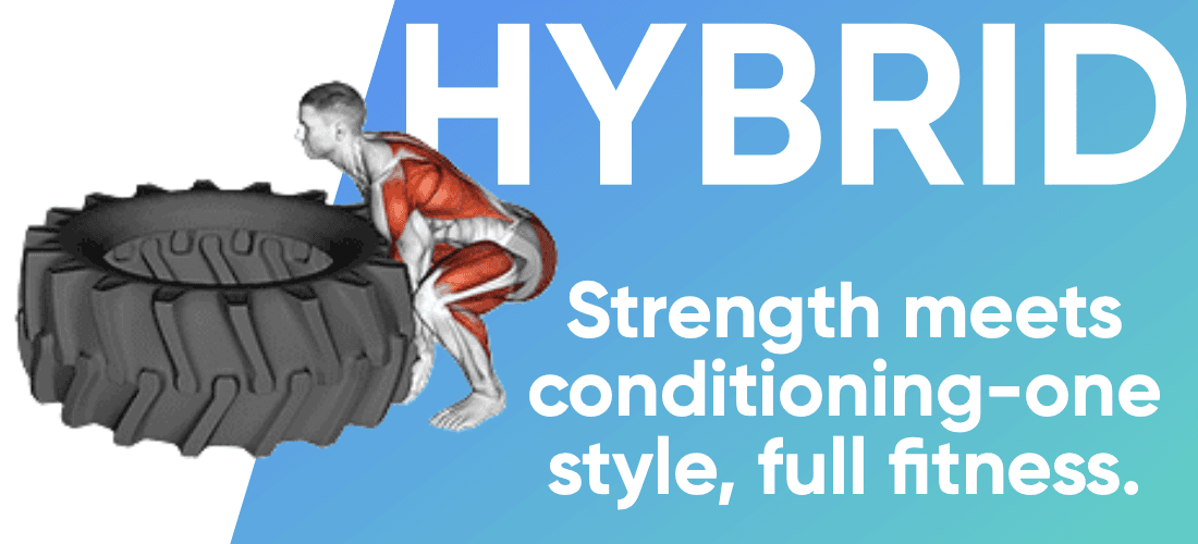 Hybrid programs