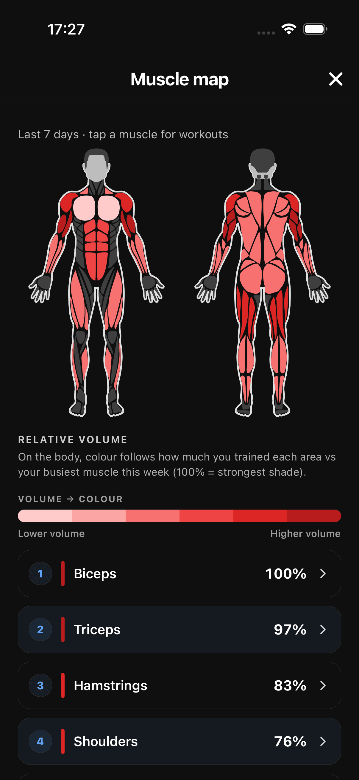 RepEight body heatmap showing trained muscles