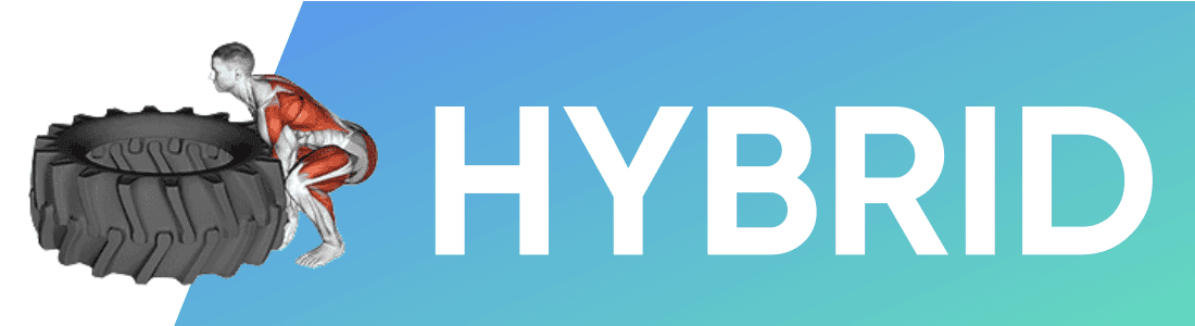 Hybrid